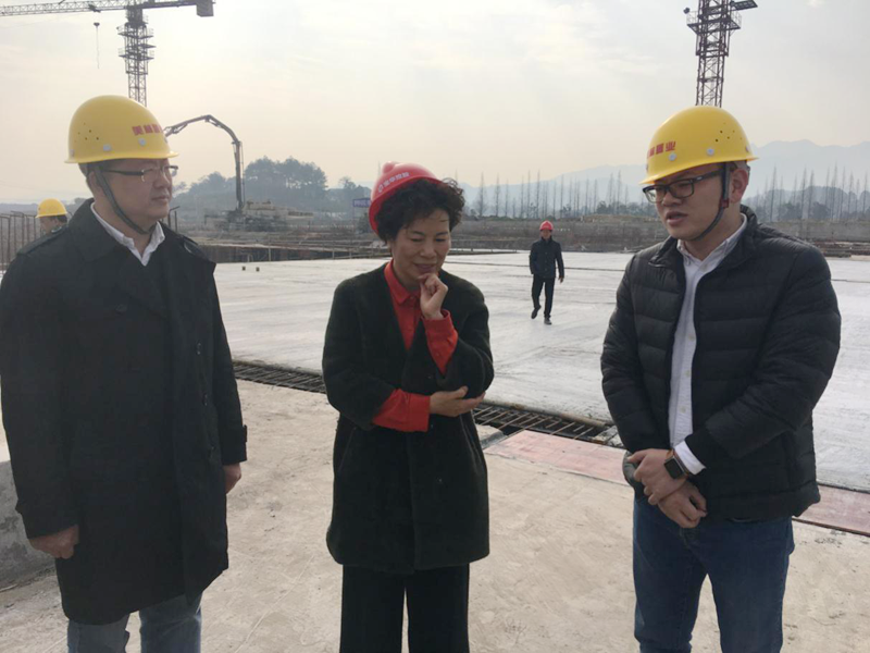 麗水市委常委、宣傳部長(zhǎng)任淑女調(diào)研松陽(yáng)美林·南城壹號(hào)項(xiàng)目