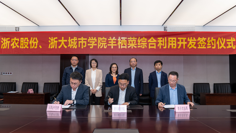 浙農(nóng)股份、浙大城市學(xué)院羊棲菜綜合利用開發(fā)項目成功簽約