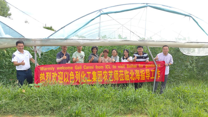 時令瓜果正當季 技術服務到田間——愛普科技攜手以色列農(nóng)藝師助力瓜農(nóng)穩(wěn)產(chǎn)增收